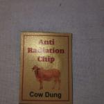 Anti radiation chip ( cow dunk)(2mm×3mm)