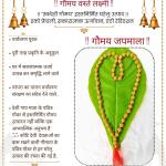 Premium Rudraksha Mala (51 Moti) for Meditation And Prayer